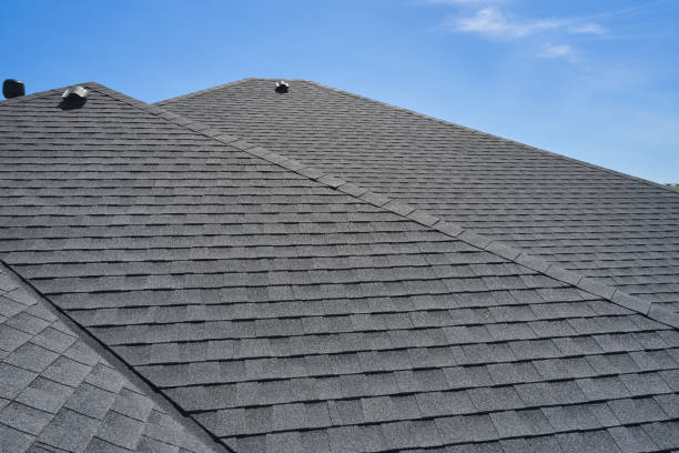 Best Skylight Installation and Repair  in Duquesne, PA